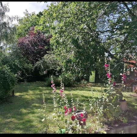 שטראלסונד Geraeumiges 120M² Haus Mit Garten + Stellplatz מראה חיצוני תמונה